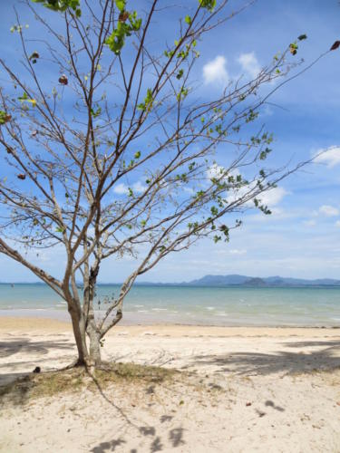 Playa de Ko Muk