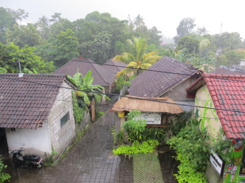 Lluvia en Ubud, Bali