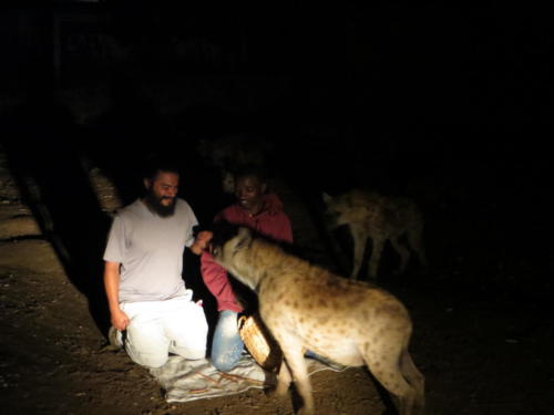 Sal alimentando hienas, Harar