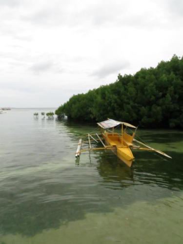 Traditional Filipino Boats
