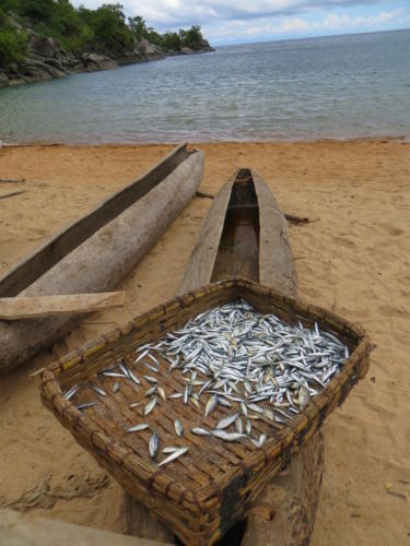 Pescados y canoas, Bahía Nkhata