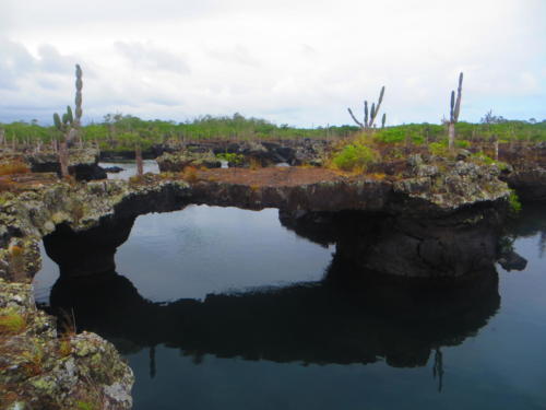 Los Tuneles, Isabela Island, Galapagos