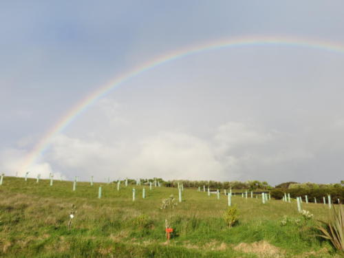 Rainbow at Uma Rapiti Farm