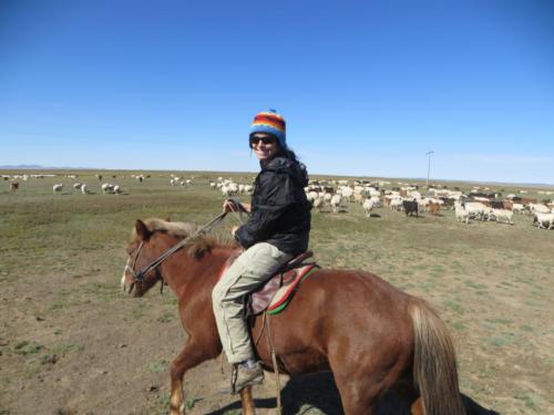Reuniendo al ganado, Kharkhorin
