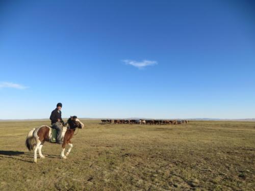 Montando caballo en Kharkhorin