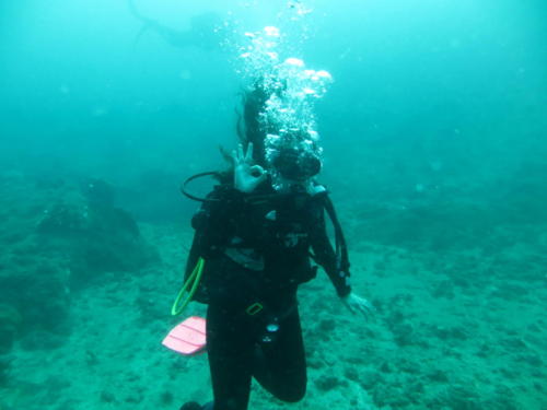 Gisela Diving in Umkomaas