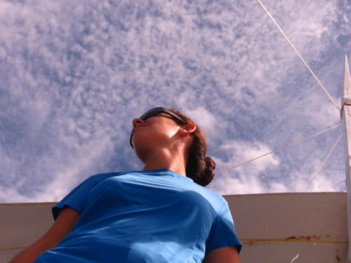 Searching for Whale Sharks, Donsol