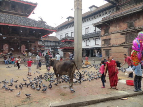 Plazoleta Durbar, Katmandú