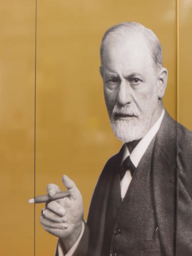 Sigmund Freud, Vienna