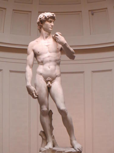 David en la Galleria dell'Accademia, Florencia