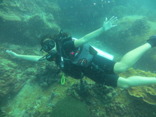 Scuba Diving in Ko Tao