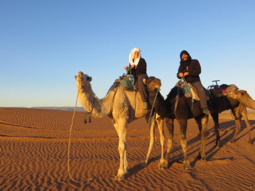 Montando dromedarios en el Sahara