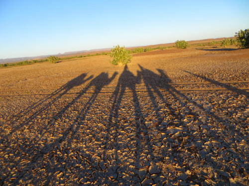En las sombras del Sahara
