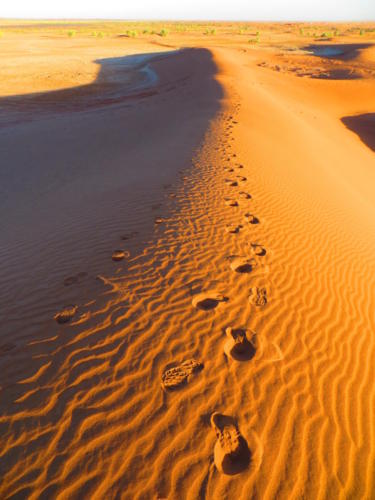 Pasos en las dunas del Sahara