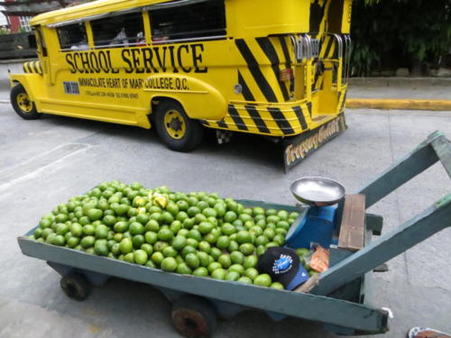 Vendiendo mangos biches en Manila