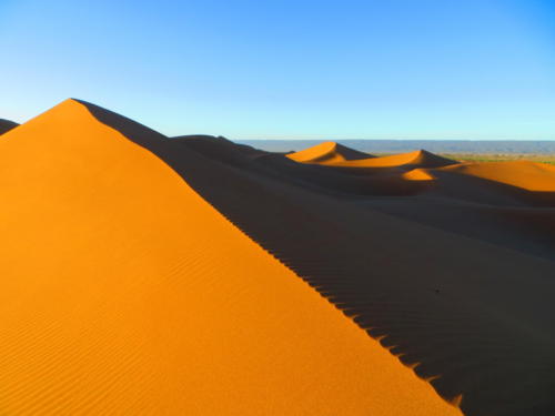 Golden Sahara Dunes