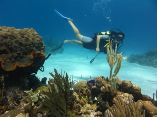 Loving the Underwater World at Punta Perdiz, Bay of Pigs