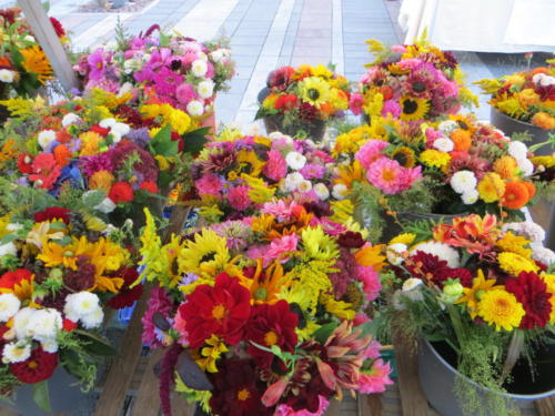 Flower Arrangements while WWOOFing in Inchigeelagh