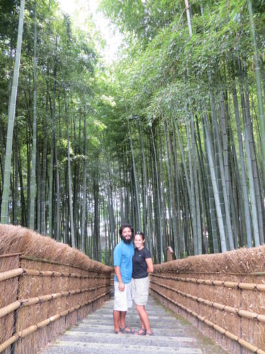 Bamboo Grove at Adashino Nembutsu-ji Temple, Kyoto
