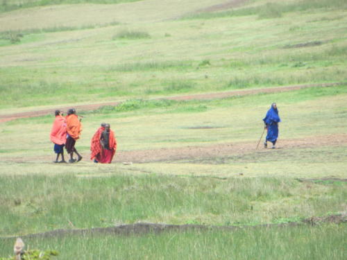 Men from the Maasai Tribe, Ngorongoro Conservation Area
