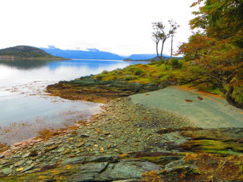 Lapataia Bay, Tierra del Fuego National Park