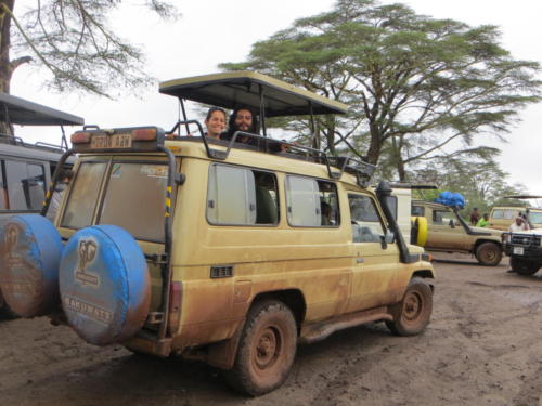 Safari Jeep in Ngorongoro Conservation Area