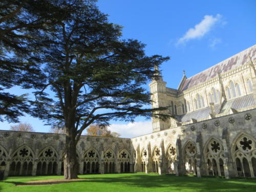 Salisbury Cathedral Garden