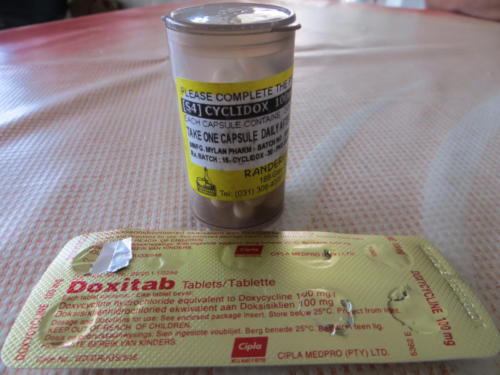 Un mes tomando pastillas contra la malaria
