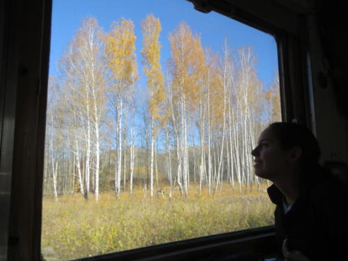 Nuestra vista desde el tren  Tran-Siberiano