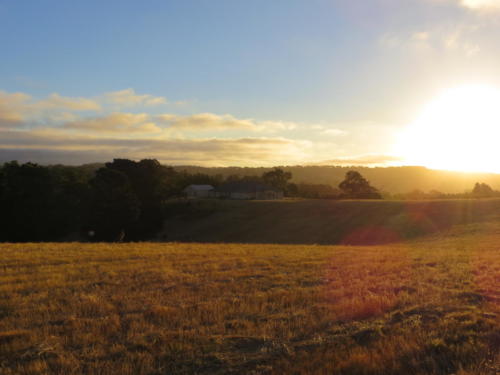 Sunset in the Adelaide Hills