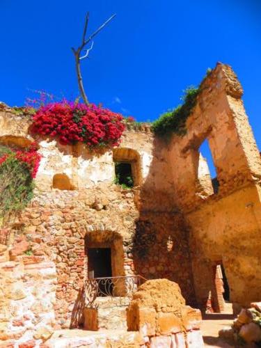 Ruinas del ex Convento de San Francisco, Zacatecas