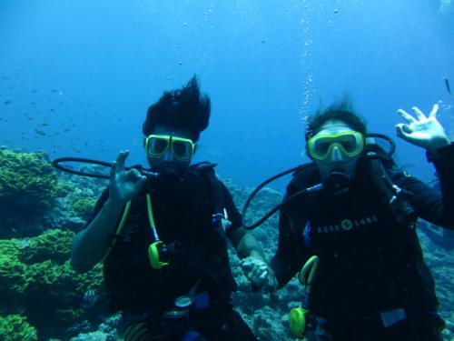 Scuba Diving in the Red Sea, Dahab