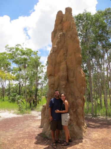 Termite Mounds in Litchfield National Park
