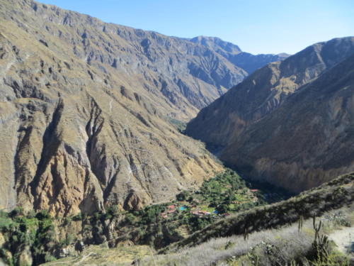 Colca Canyon with View of Sangalle Oasis