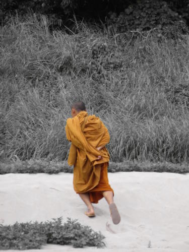 Lao Monk