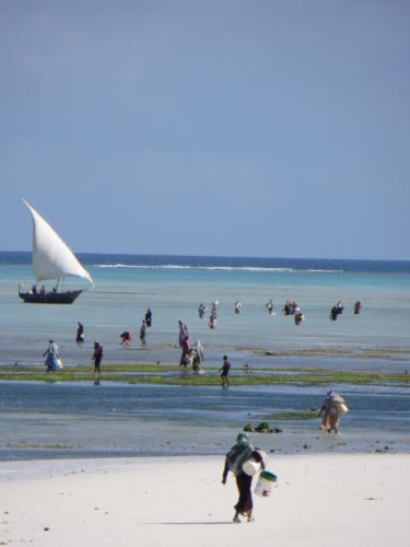 Lowtide in Nungwi, Zanzibar