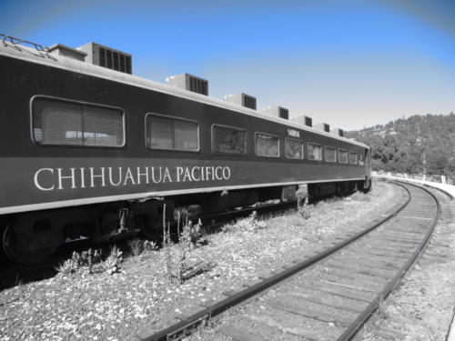 Chihuahua Pacific Train (Chepe)