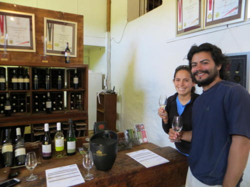 Altydgedacht Winery, Cape Town
