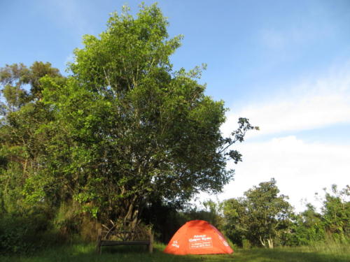 Our Tent in Lake Bunyonyi