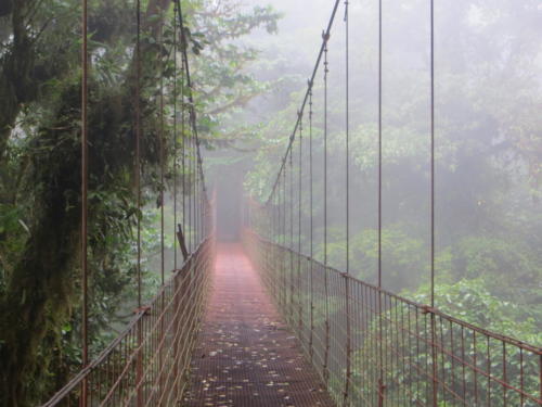 Puente colgante en la Reserva biológica Bosque Nuboso Monteverde