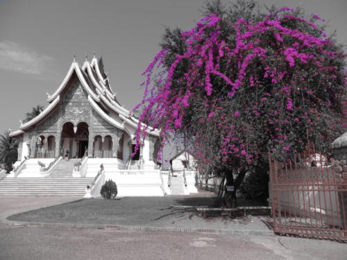 Pha Bang Temple, Luang Prabang